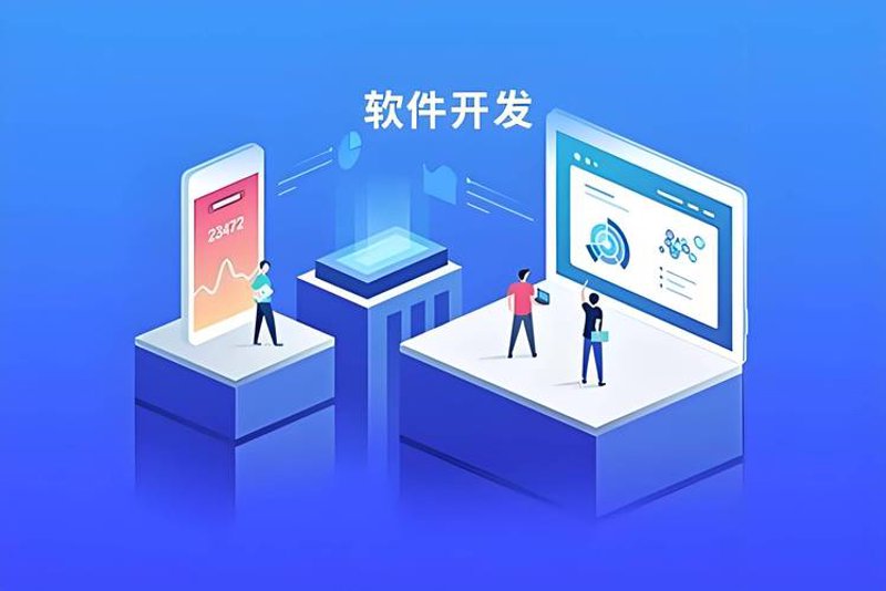 软件定制开发：企业数字化转型的新引擎